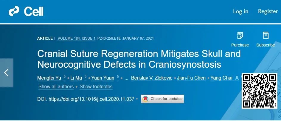 Cell！俞梦飞与南加大合作发文提出功能化颅缝再生新策略，为颅骨早闭症治疗带来新希望